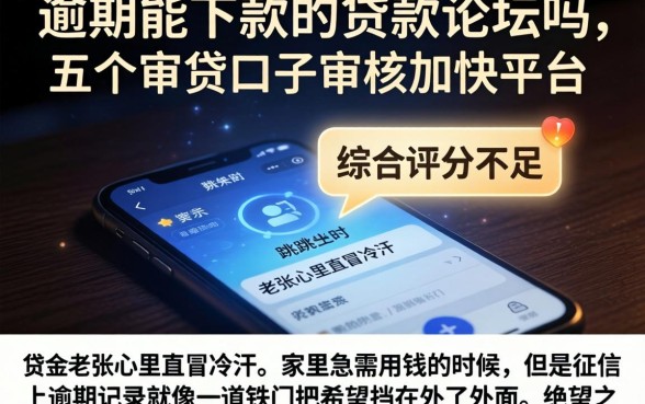 逾期能下款的贷款论坛吗，归纳五个审贷口子审核加快的平台