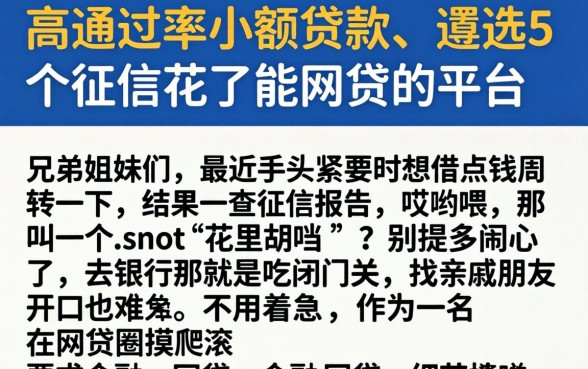 高通过率小额贷款,遴选5个征信花了能网贷的平台