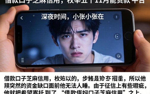 借款口子芝麻信用，枚举五个11月能贷款的平台