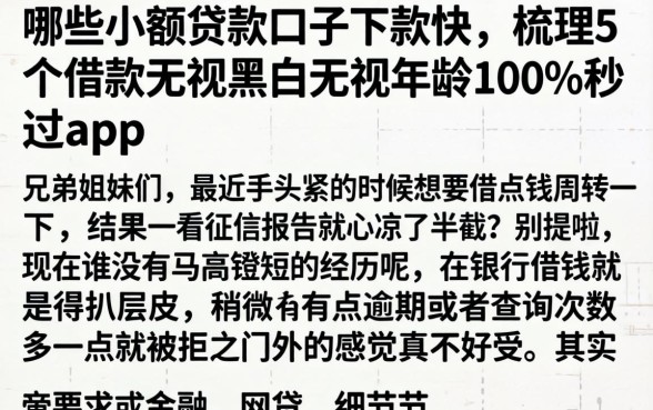 哪些小额贷款口子下款快，梳理5个借款无视黑白无视年龄100%秒过app