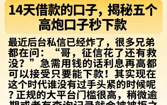 14天借款的口子，揭秘五个高炮口子秒下款