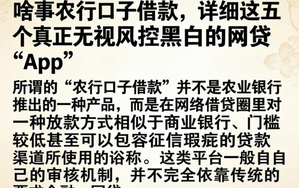 啥事农行口子借款,详细阐述五个真正无视风控黑白的网贷app
