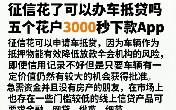 征信花了可以办车抵贷吗，概括五个花户3000秒下款app
