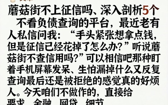 蘑菇街不上征信吗,深入剖析5个不看负债查询的平台
