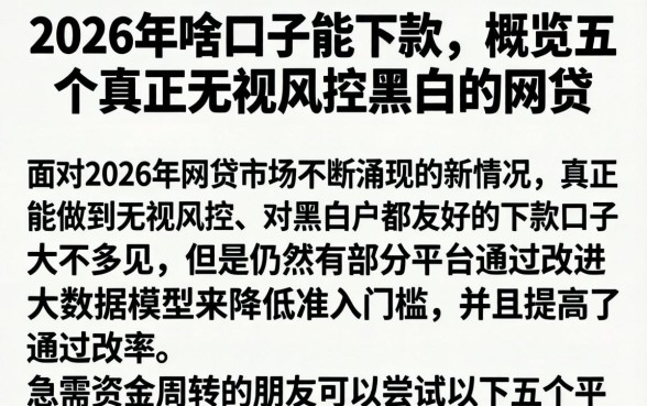 2026年啥口子能下款，概览五个真正无视风控黑白的网贷