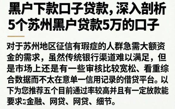 黑户下款口子贷款，深入剖析5个苏州黑户贷款5万的口子