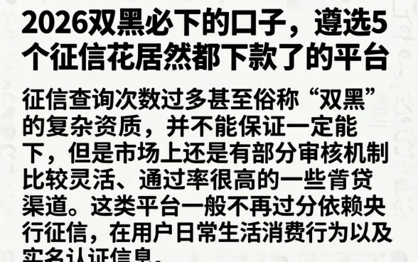 2026双黑必下的口子，遴选5个征信花居然都下款了的平台