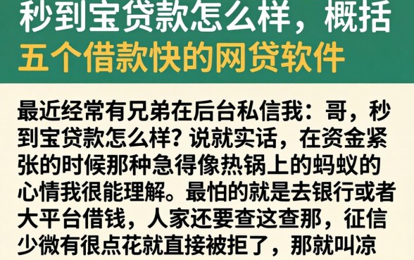 秒到宝贷款怎么样,概括五个借款快的网贷软件