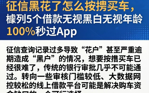 征信黑花了怎么按揭买车，胪列5个借款无视黑白无视年龄100%秒过app