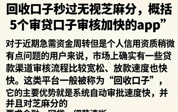 回收口子秒过无视芝麻分，概括5个审贷口子审核加快的app