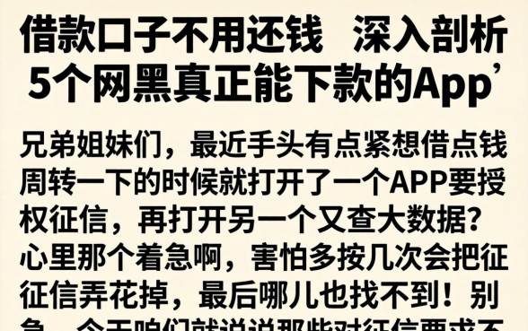 借款口子不用还钱，深入剖析5个网黑真正能下款的app