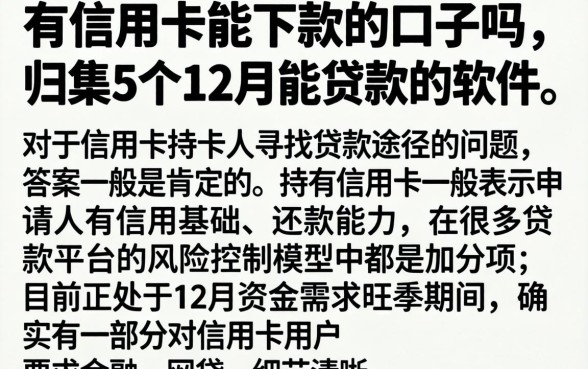 有信用卡能下款的口子吗，归集5个12月能贷款的软件