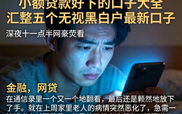 小额贷款好下的口子大全,汇整五个无视黑白户最新口子