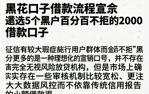 黑花口子借款流程，遴选5个黑户百分百不拒的2000借款口子