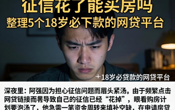 征信花了能买房吗，整理5个18岁必下款的网贷平台