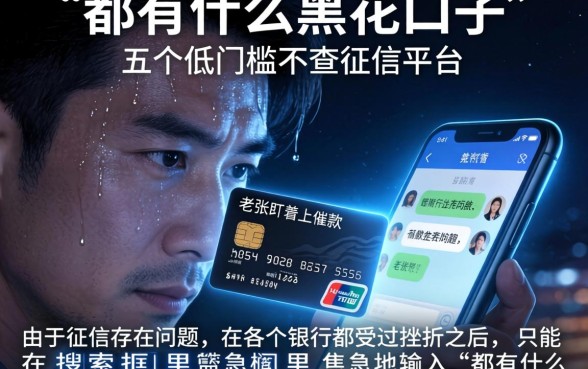 都有什么黑花口子，详细阐述五个低门槛不查征信的平台