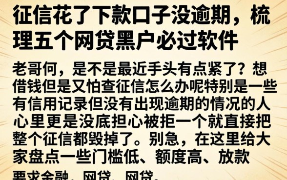 征信花了下款口子没逾期，梳理五个网贷黑户必过软件