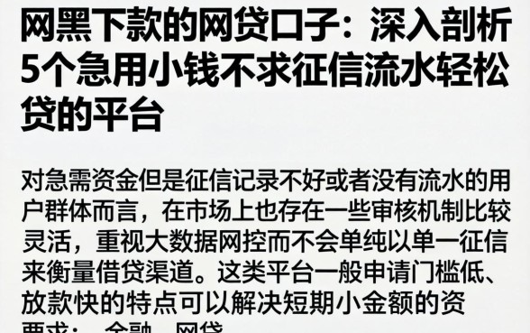网黑下款的网贷口子，深入剖析5个急用小钱不求征信流水轻松贷的平台