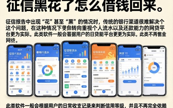 征信黑花了怎么借钱回来,陈列五个看银行流水的网贷软件