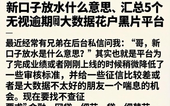 新口子放水什么意思,汇总5个无视逾期大数据花户黑户平台
