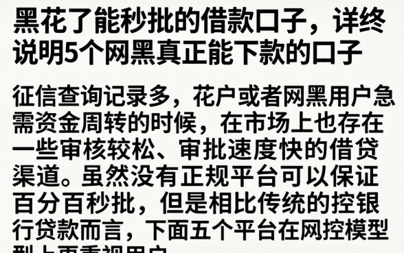 黑花了能秒批的借款口子，详尽说明5个网黑真正能下款的口子