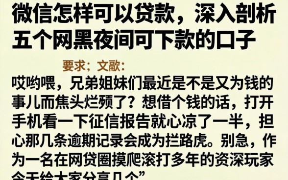 微信怎样可以贷款，深入剖析五个网黑夜间可下款的口子