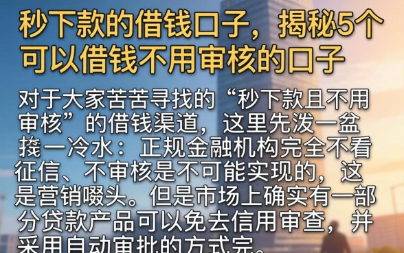 秒下款的借钱口子，揭秘5个可以借钱不用审核的口子