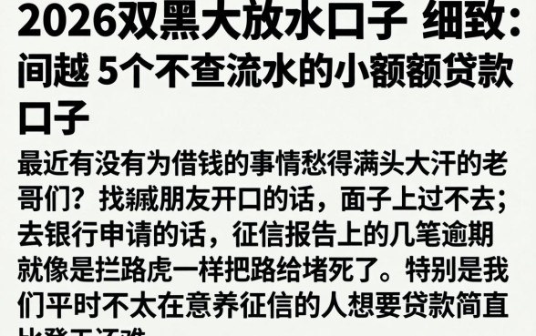 2026双黑大放水口子，细致阐述5个不查流水的小额度贷款口子