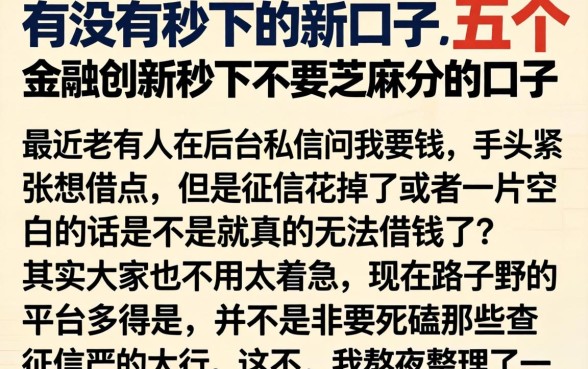 有没有秒下的新口子，细致阐述五个金融创新秒下不要芝麻分的口子