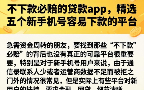 不下款必赔的贷款app，精选五个新手机号容易下款的平台