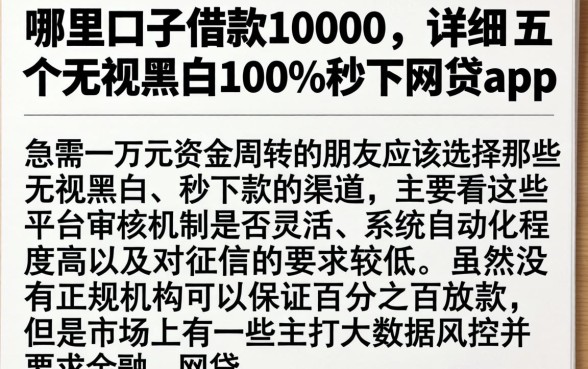 哪里口子借款10000，详细阐述五个无视黑白100%秒下网贷app