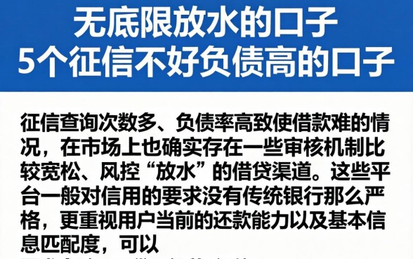 无底线放水的口子,概括5个征信不好负债高的口子