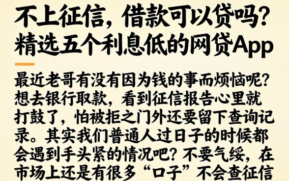 不上征信的借款可以贷吗，精选五个利息低的网贷app