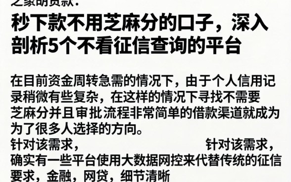 秒下款不用芝麻分的口子，深入剖析5个不看征信查询的平台