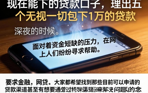 现在能下的贷款口子，理出五个无视一切包下1万的贷款