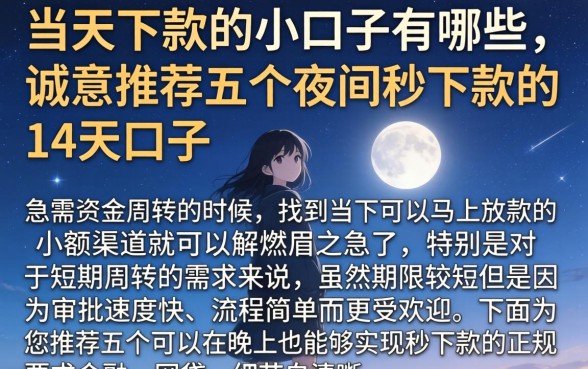 当天下款的小口子有哪些，诚意推荐五个夜间秒下款的14天口子