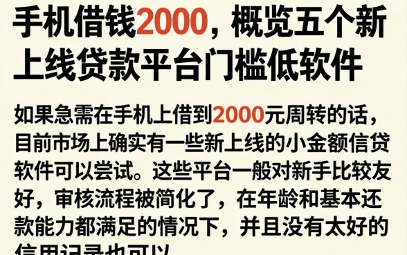手机借钱2000，概览五个新上线贷款平台门槛低软件
