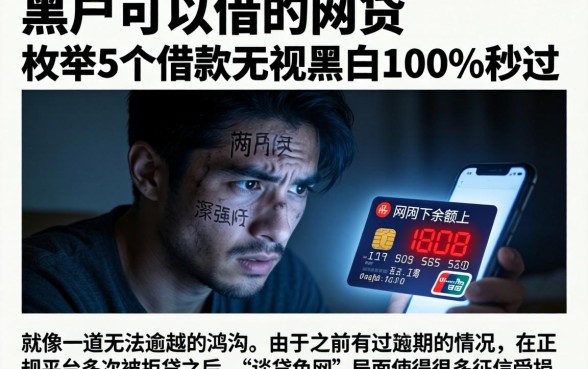 黑户可以借的网贷，枚举5个借款无视黑白100%秒过