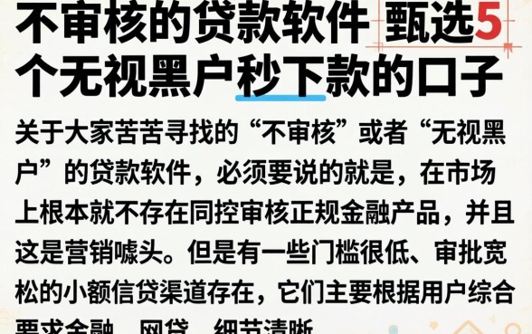 不审核的贷款软件，甄选5个无视黑户秒下款的口子