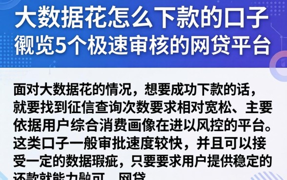 大数据花怎么下款的口子，概览5个极速审核的网贷平台