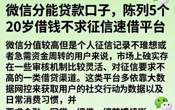 微信分能贷款口子，陈列5个20岁借钱不求征信速借平台