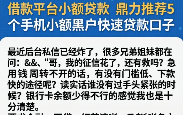 借款平台小额贷款,鼎力推荐5个手机小额黑户快速贷款口子