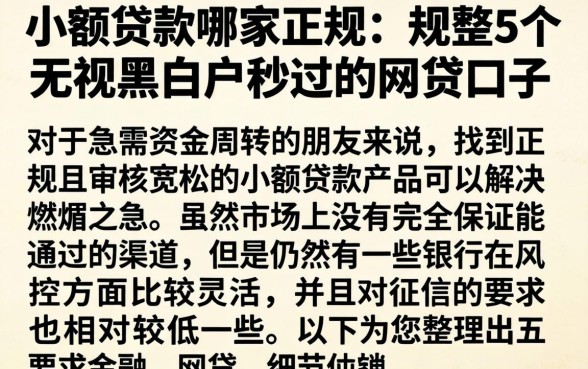 小额贷款哪家正规，规整5个无视黑白户秒过的网贷口子