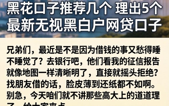 黑花口子推荐几个，理出5个最新无视黑白户网贷口子