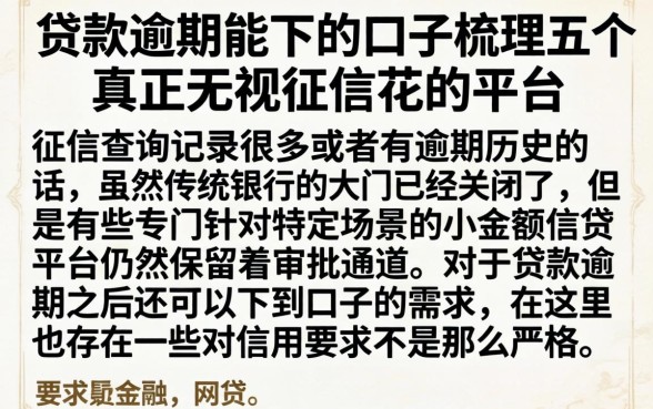 贷款逾期能下的口子，梳理五个真正无视征信花的平台