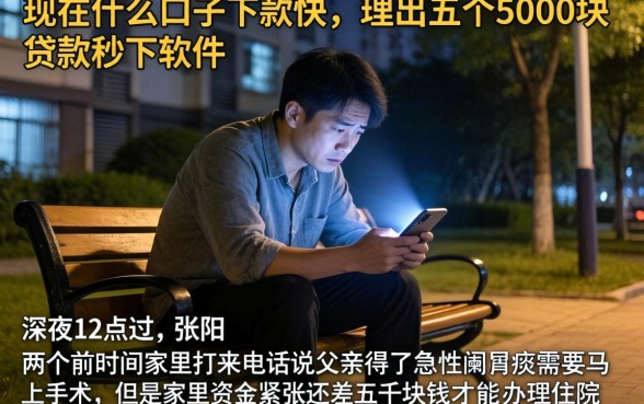 现在什么口子下款快，理出五个5000块贷款秒下软件