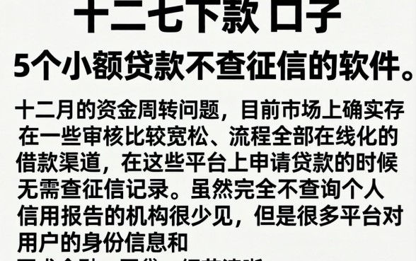 十二月下款的口子，详细阐述5个小额贷款不查征信的软件