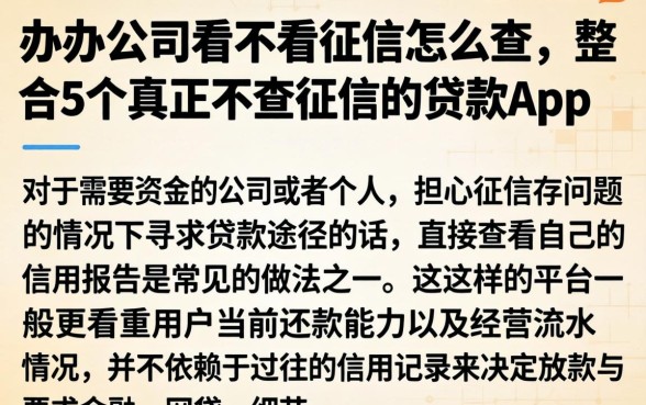 办公司看不看征信怎么查，整合5个真正不查征信的贷款app