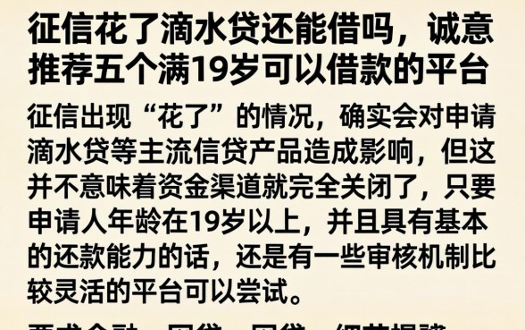 征信花了滴水贷还能借吗，诚意推荐五个满19岁可以借款的平台