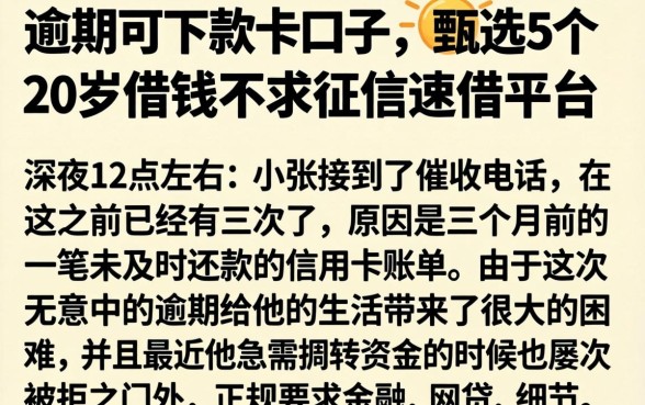 逾期可下款的口子,甄选5个20岁借钱不求征信速借平台
